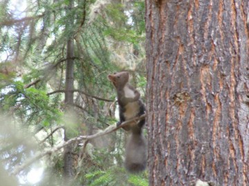 Белуха (Алтай) восхождение фотоальбом, май 2012