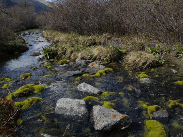 Белуха (Алтай) восхождение фотоальбом, май 2012
