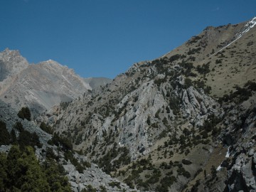 Дугоба альпсборы (Памиро-Алай) фото, май 2011