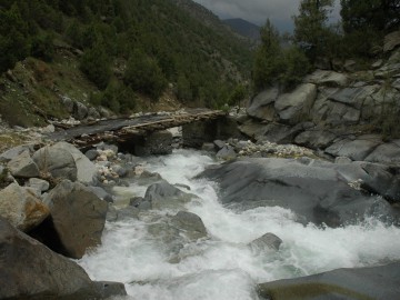 Дугоба альпсборы (Памиро-Алай) фото, май 2011