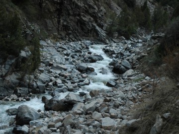 Дугоба альпсборы (Памиро-Алай) фото, май 2011