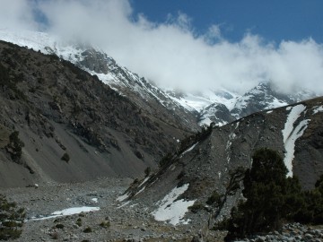 Дугоба альпсборы (Памиро-Алай) фото, май 2011