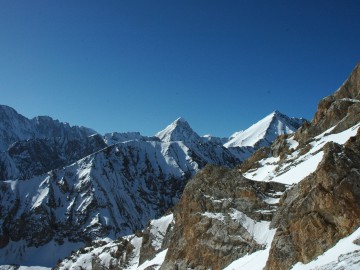 Дугоба альпсборы (Памиро-Алай) фото, май 2011