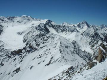 Дугоба альпсборы (Памиро-Алай) фото, май 2011