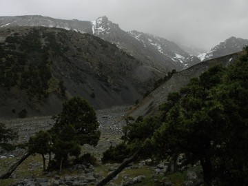 Дугоба альпсборы (Памиро-Алай) фото, май 2011