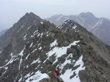 Дугоба альпсборы (Памиро-Алай) фото, май 2011