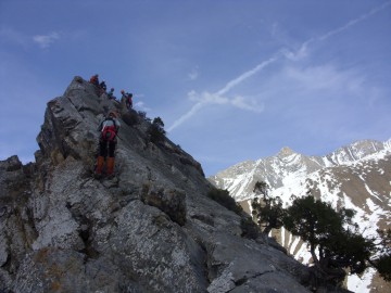 Дугоба альпсборы (Памиро-Алай) фото, май 2011