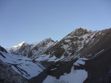 Дугоба альпсборы (Памиро-Алай) фото, май 2011