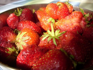 Дугоба альпсборы (Памиро-Алай) фото, май 2011