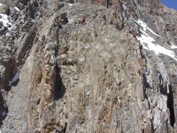 Дугоба альпсборы (Памиро-Алай) фото, май 2011