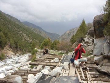 Дугоба альпсборы (Памиро-Алай) фото, май 2011