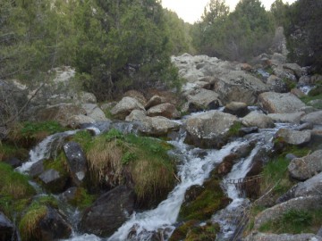 Дугоба альпсборы (Памиро-Алай) фото, май 2011