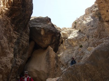 Дугоба альпсборы (Памиро-Алай) фото, май 2011