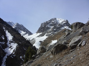Дугоба альпсборы (Памиро-Алай) фото, май 2011