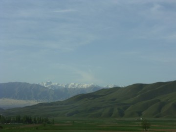 Дугоба альпсборы (Памиро-Алай) фото, май 2011