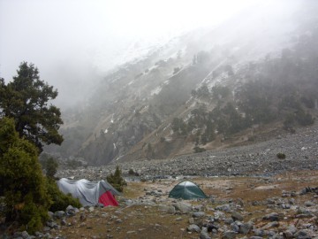 Дугоба альпсборы (Памиро-Алай) фото, май 2011