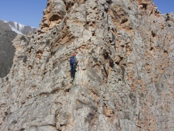 Дугоба альпсборы (Памиро-Алай) фото, май 2011
