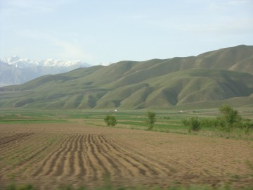 Дугоба альпсборы (Памиро-Алай) фото, май 2011