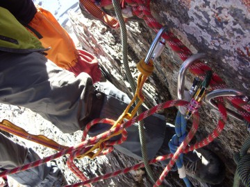 Дугоба альпсборы (Памиро-Алай) фото, май 2011