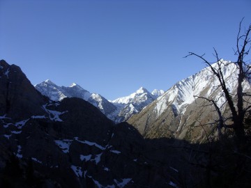 Дугоба альпсборы (Памиро-Алай) фото, май 2011