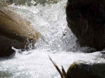 Дугоба (Памир) альпсборы фото, июль-август 2012