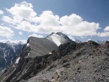 Дугоба (Памир) альпсборы фото, июль-август 2012