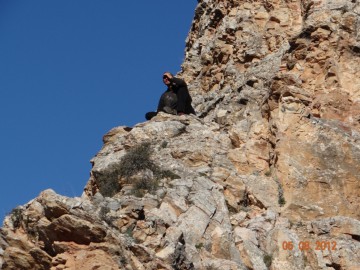 Дугоба (Памир) альпсборы фото, июль-август 2012