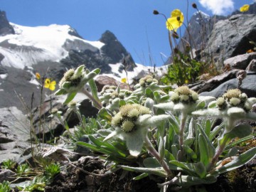 Каракол (Терскей Ала-Тоо) фото, 2006