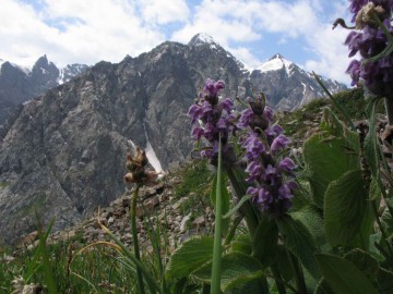 Каракол (Терскей Ала-Тоо) фото, 2006
