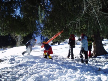 Туюк-Су альпсборы (Тянь-Шань) фото, январь 2011