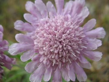 Пик Ленина (Памир) восхождение фото, август-сентябрь 2012