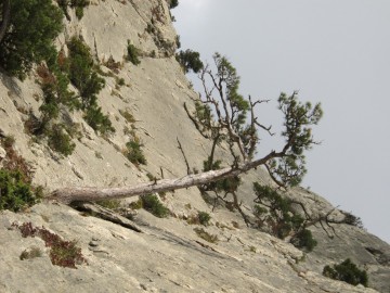 Крым (Судак) альпсборы фото, октябрь 2012