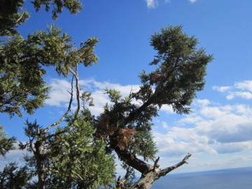 Крым (Судак) альпсборы фото, октябрь 2012