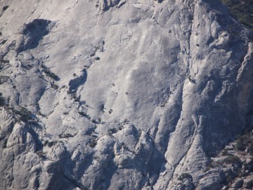 Крым (Судак) альпсборы фото, октябрь 2012