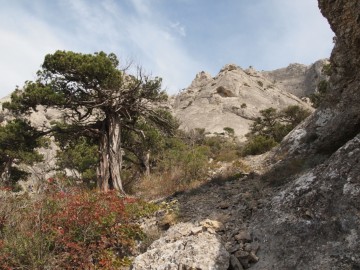 Крым (Судак) альпсборы фото, октябрь 2012