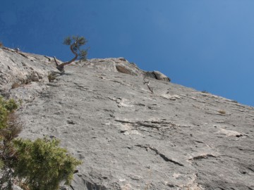 Крым (Сокол) альпсборы фото, октябрь 2012