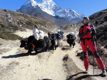 Восхождение на Айленд Пик (Гималаи, Непал) фото, ноябрь 2012
