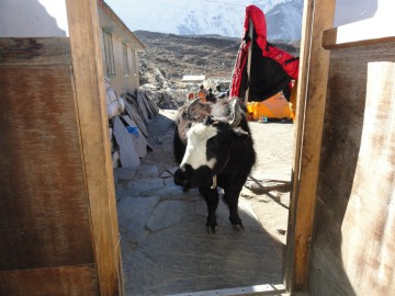 Восхождение на Айленд Пик (Гималаи, Непал) фото, ноябрь 2012