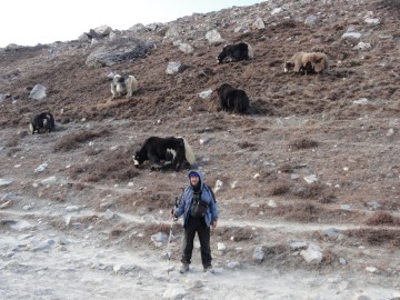 Восхождение на Айленд Пик (Гималаи, Непал) фото, ноябрь 2012