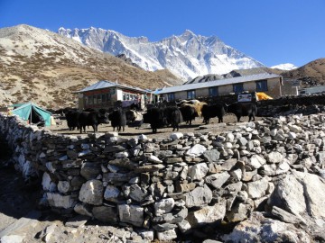 Восхождение на Айленд Пик (Гималаи, Непал) фото, ноябрь 2012