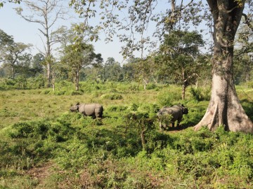 Восхождение на Айленд Пик (Гималаи, Непал) фото, ноябрь 2012