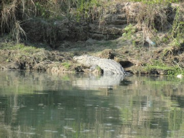 Восхождение на Айленд Пик (Гималаи, Непал) фото, ноябрь 2012