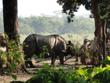 Восхождение на Айленд Пик (Гималаи, Непал) фото, ноябрь 2012