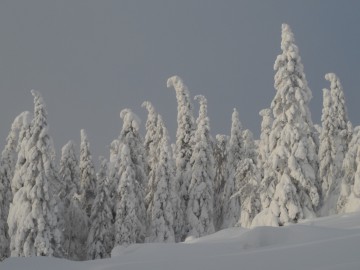 Альпсборы на Таганае (Урал) фото, январь 2013