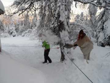 Альпсборы на Таганае (Урал) фото, январь 2013