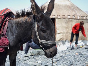 Пик Ленина восхождение (Памир) фото, 2009