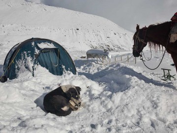 Пик Ленина восхождение (Памир) фото, 2009