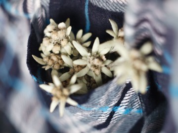 Пик  Хан-Тенгри (Тенгри-Таг) фото, август 2011