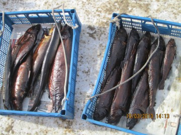 Хибины (Апатиты, Кольский полуостров), март 2013