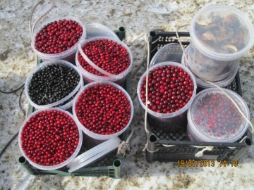 Хибины (Апатиты, Кольский полуостров), март 2013